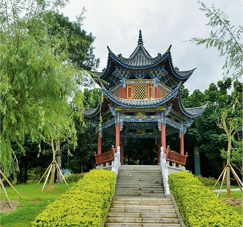 滇紅尋味之旅