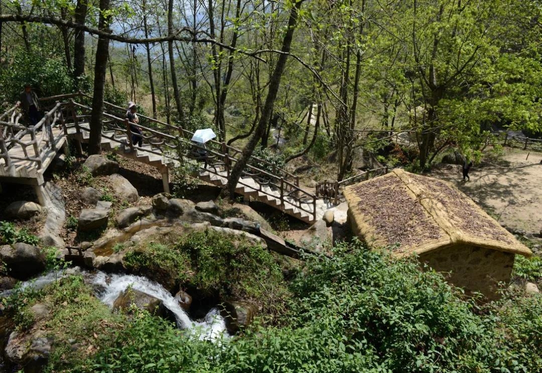 白鶯山