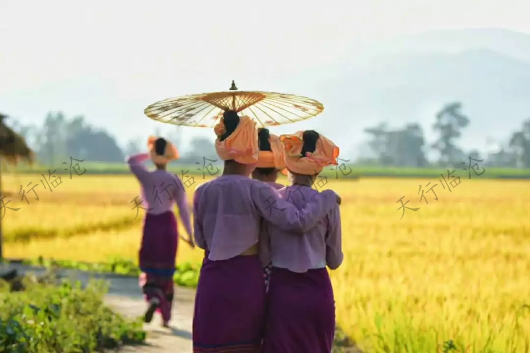 臨滄研學(xué)旅行