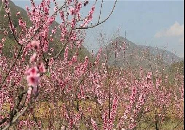 鄉村旅游看臨滄丨鎮康縣景點——木場桃花島
