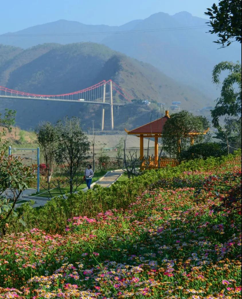 云縣漫灣鎮(zhèn)昔宜村大村自然村