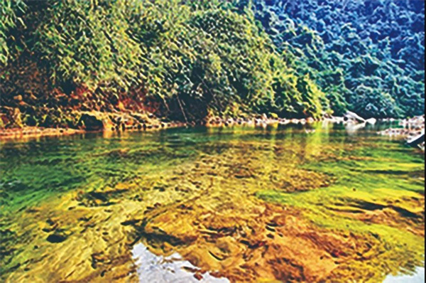 禪茶修心養生之旅