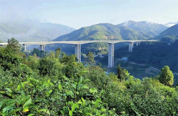云南旅游,云南旅行社,云南團建公司,云南會議公司,云南策劃公司,臨滄旅游,臨滄旅行社,臨滄團建公司,臨滄會議公司,臨滄策劃公司：DNA動了！在臨滄解鎖茶葉祖傳密碼