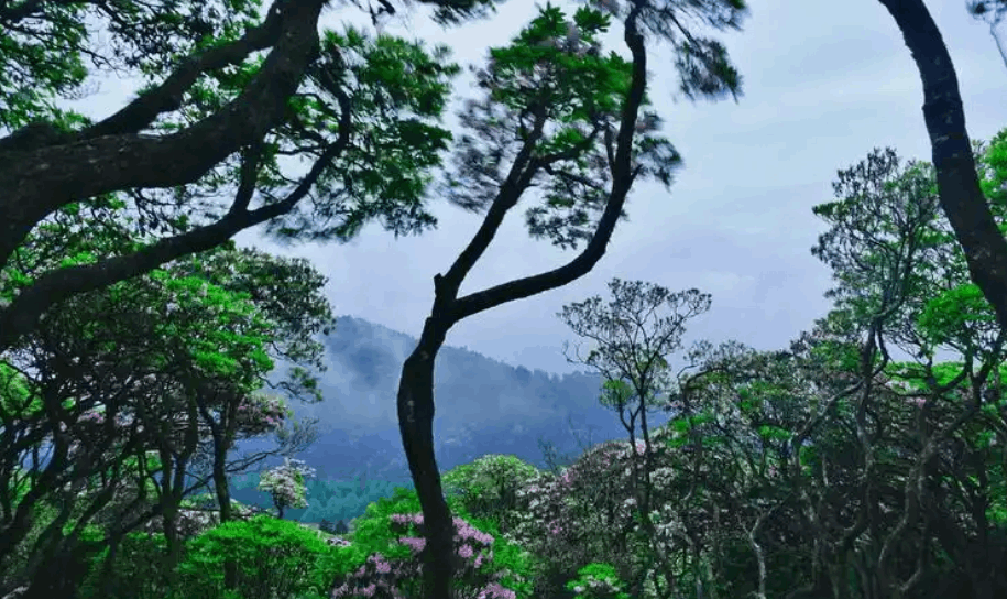 云南臨滄旅游,云南臨滄旅行社,云南臨滄團建公司,云南臨滄策劃公司,云南會議會展,云南旅游地接：醉美臨滄6天5晚深度游