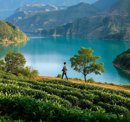 云南團建公司,云南策劃公司,云南會議會展,云南旅游地接,臨滄旅游,臨滄旅行社,臨滄團建公司,臨滄策劃公司,臨滄會議會展:當北方進入寒冬，春天在哪里？---在云南臨滄